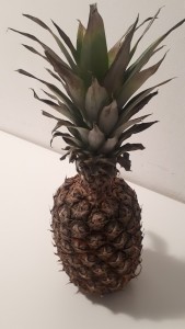 20190225_210026