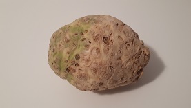 20190225_210831
